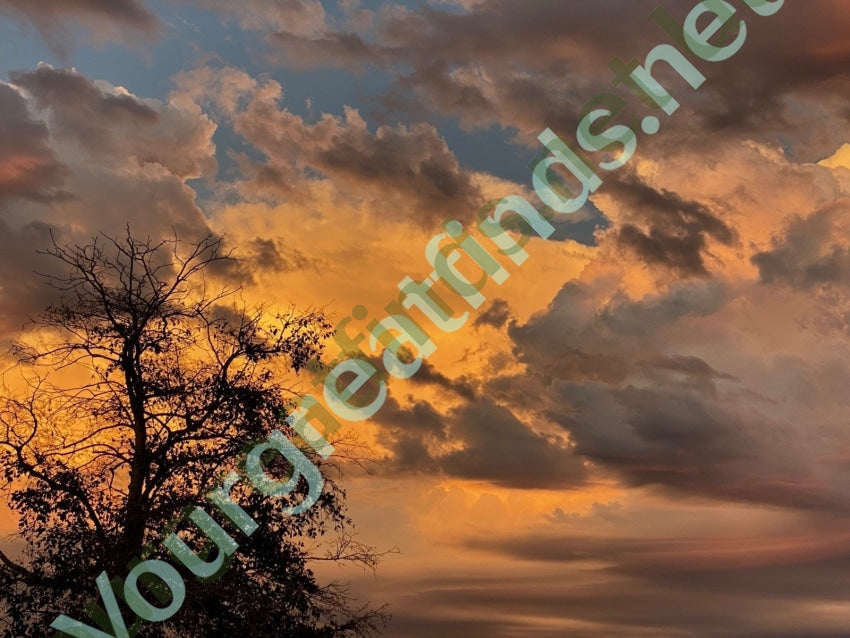 Early Navajo Petrified Wood Bracelet in Sterling Silver Yourgreatfinds