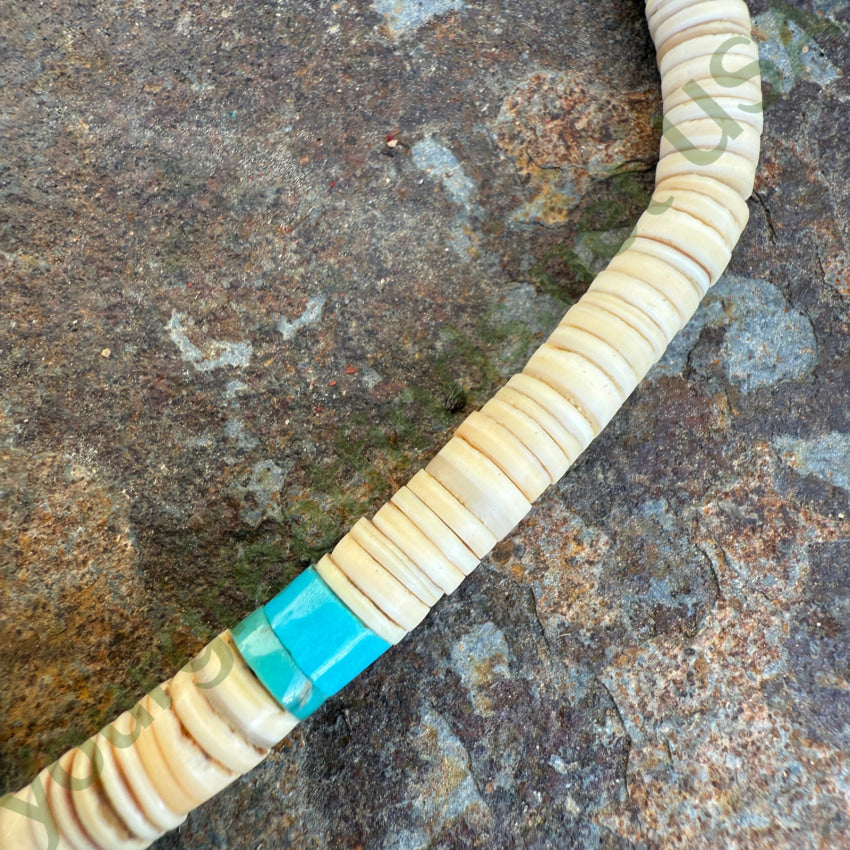 Early Santo Domingo Shell & Turquoise Heishi Bead Necklace necklace