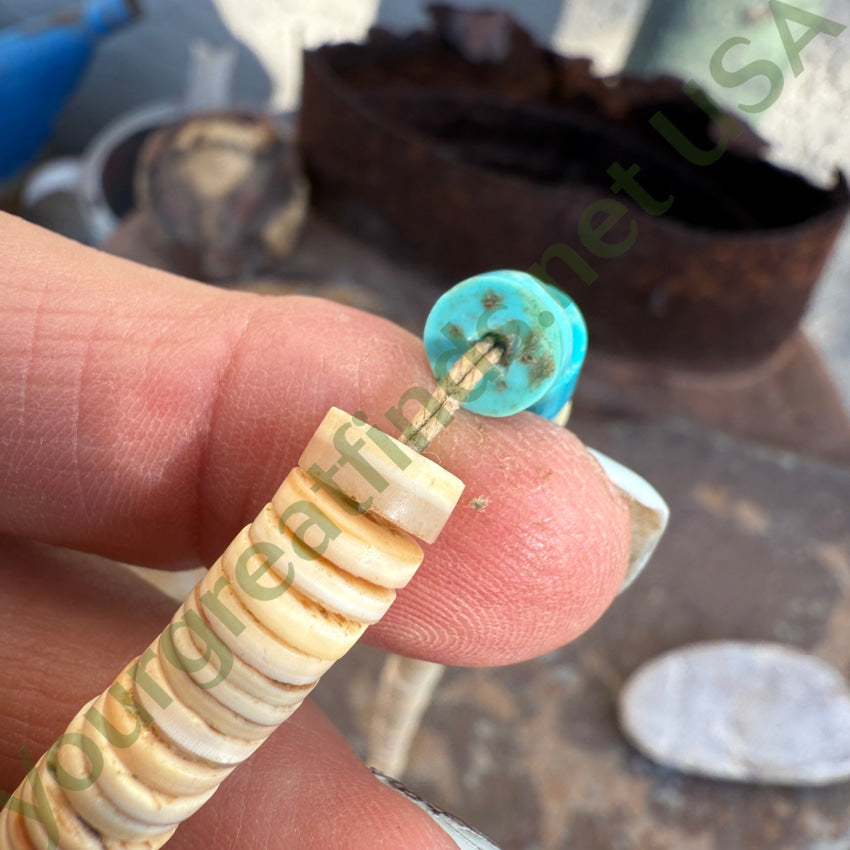 Early Santo Domingo Shell & Turquoise Heishi Bead Necklace necklace