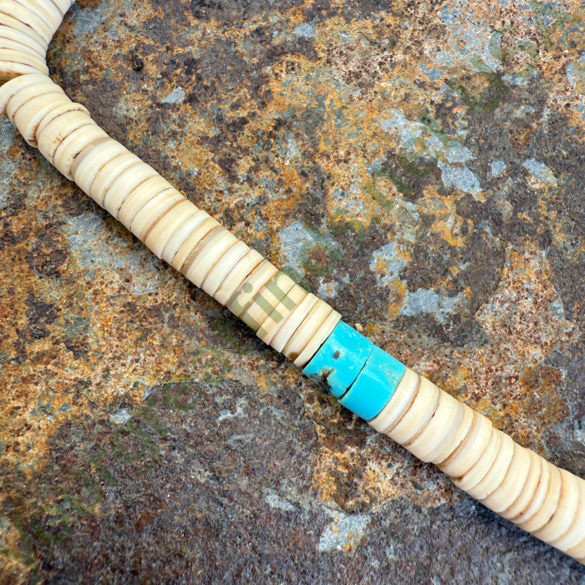 Early Santo Domingo Shell & Turquoise Heishi Bead Necklace necklace