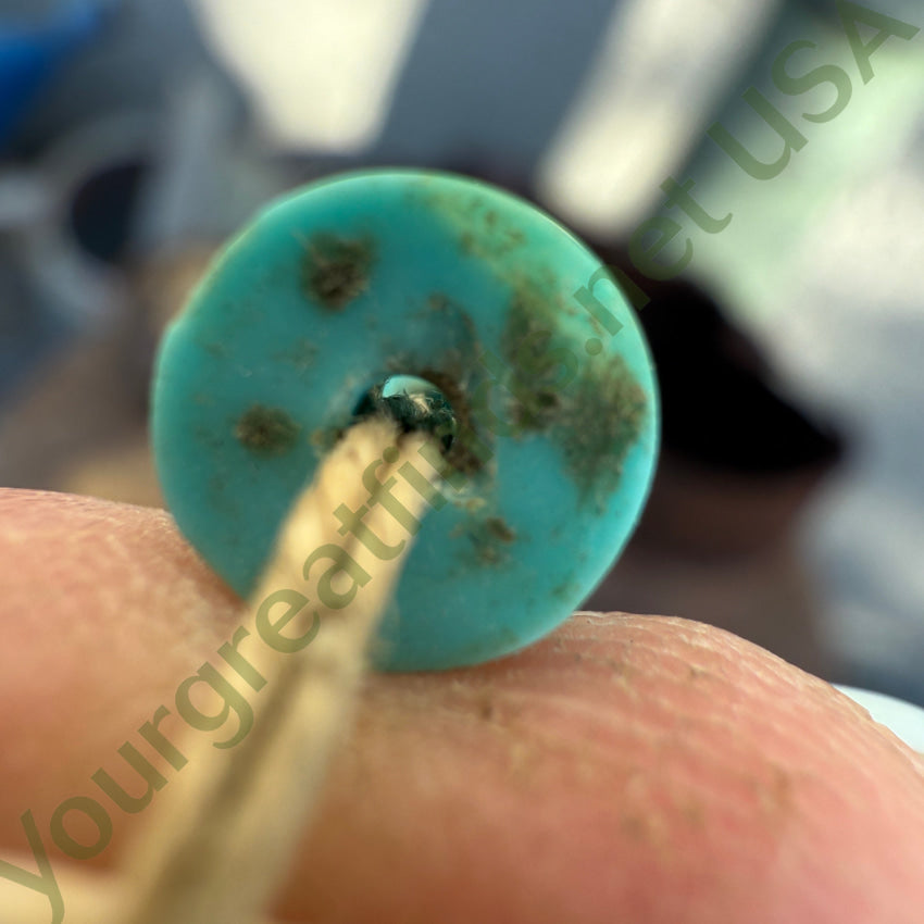 Early Santo Domingo Shell & Turquoise Heishi Bead Necklace necklace