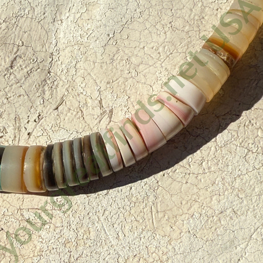 Early Santo Domingo Shell & Turquoise Heishi Necklace necklace