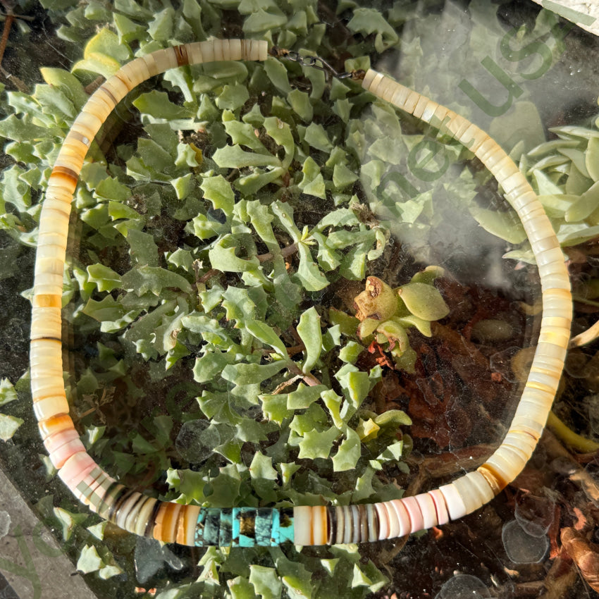 Early Santo Domingo Shell & Turquoise Heishi Necklace necklace