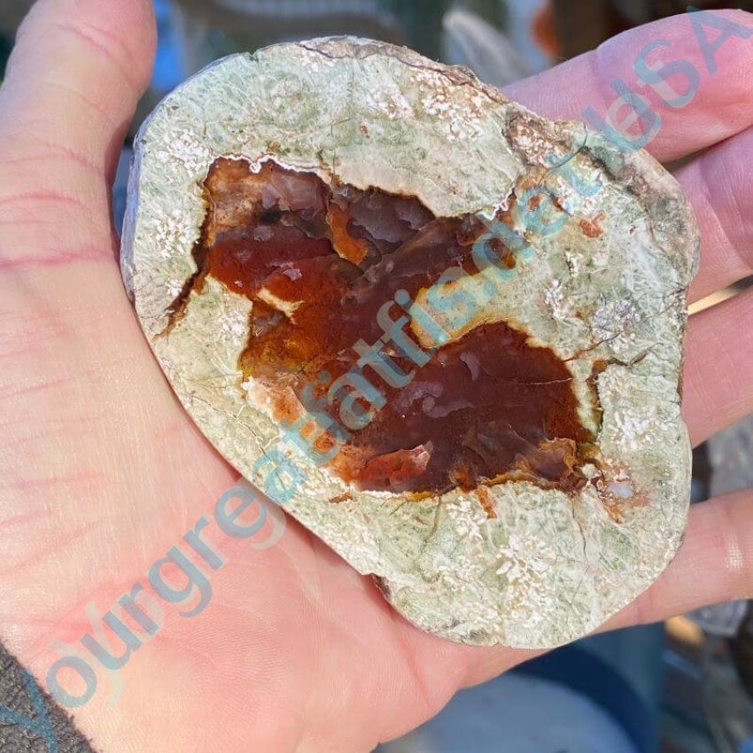 Geode Cut Agate Specimen Yourgreatfinds