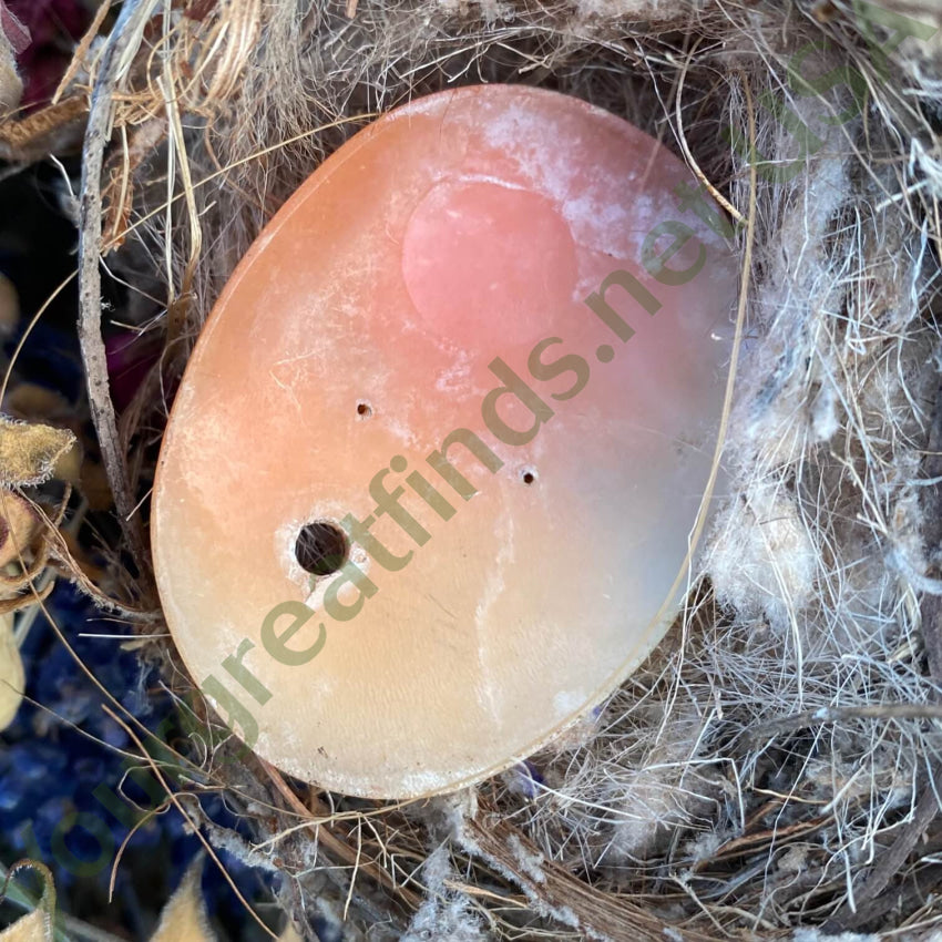 Large Antique Carved Shell Italian Cameo Artemis Diana