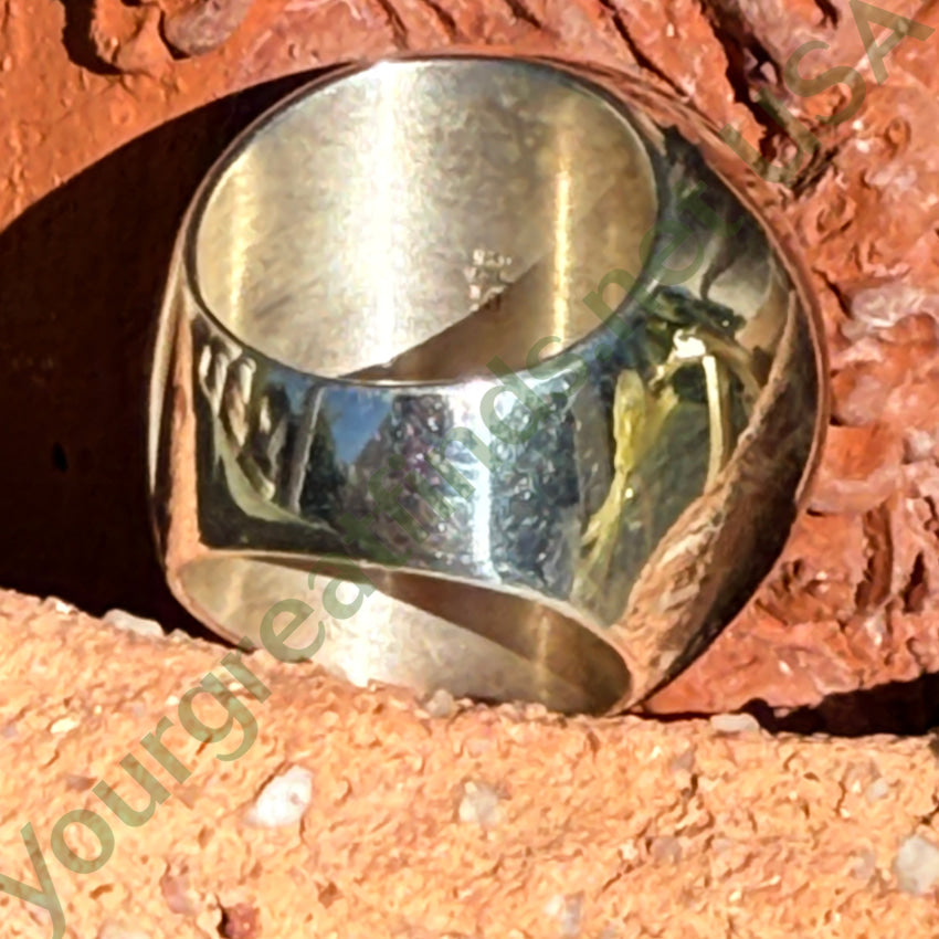 Large Desert Rose Trading Turquoise Sterling Silver Ring Size 7 ring