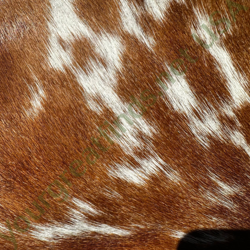 Myra Hair On Cow Hide Pochette Wristlet Leather Wristlet Purse