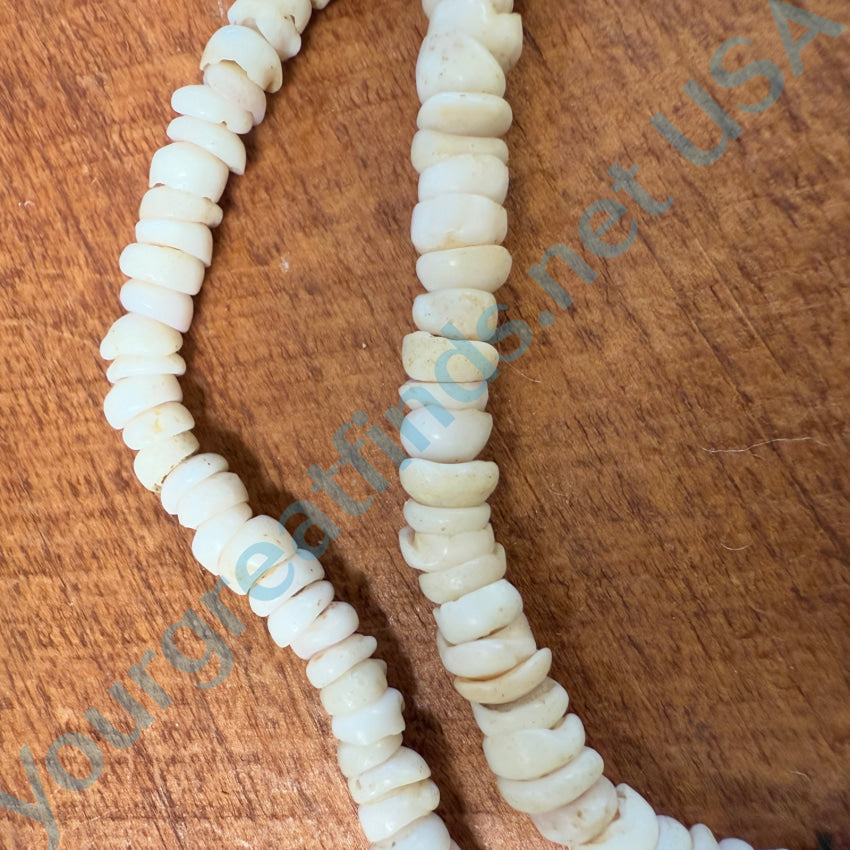 Natural Hawaiian Puka Shell Choker Necklace 16.5’’ L Necklace