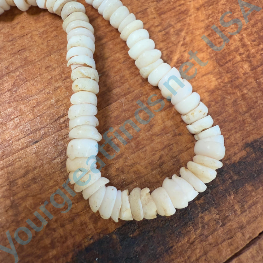 Natural Hawaiian Puka Shell Choker Necklace 16.5’’ L Necklace