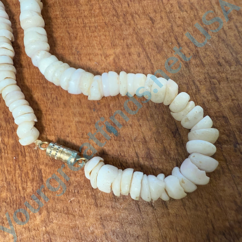 Natural Hawaiian Puka Shell Choker Necklace 16.5’’ L Necklace