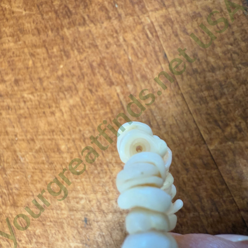 Natural Hawaiian Puka Shell Choker Necklace 16.5’’ L Necklace