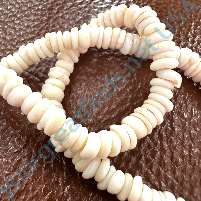 Natural Hawaiian Puka Shell Choker Necklace Necklace