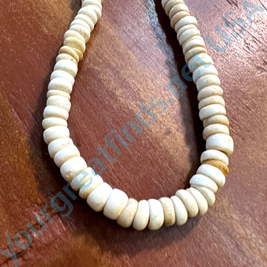 Natural Hawaiian Puka Shell Choker Necklace Necklace