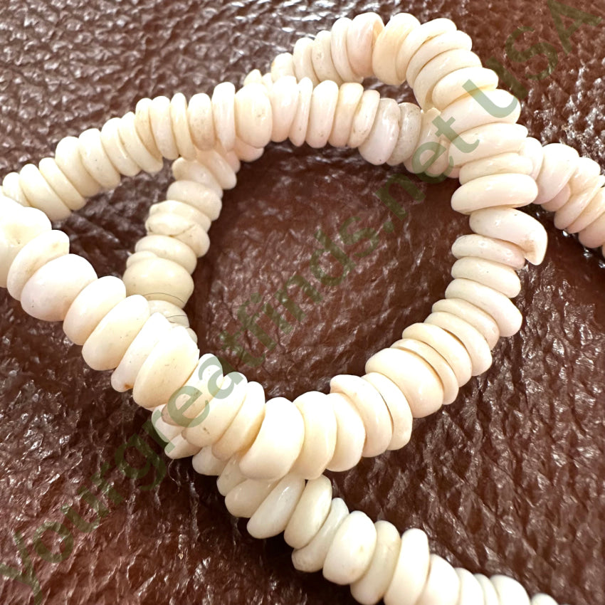 Natural Hawaiian Puka Shell Choker Necklace Necklace