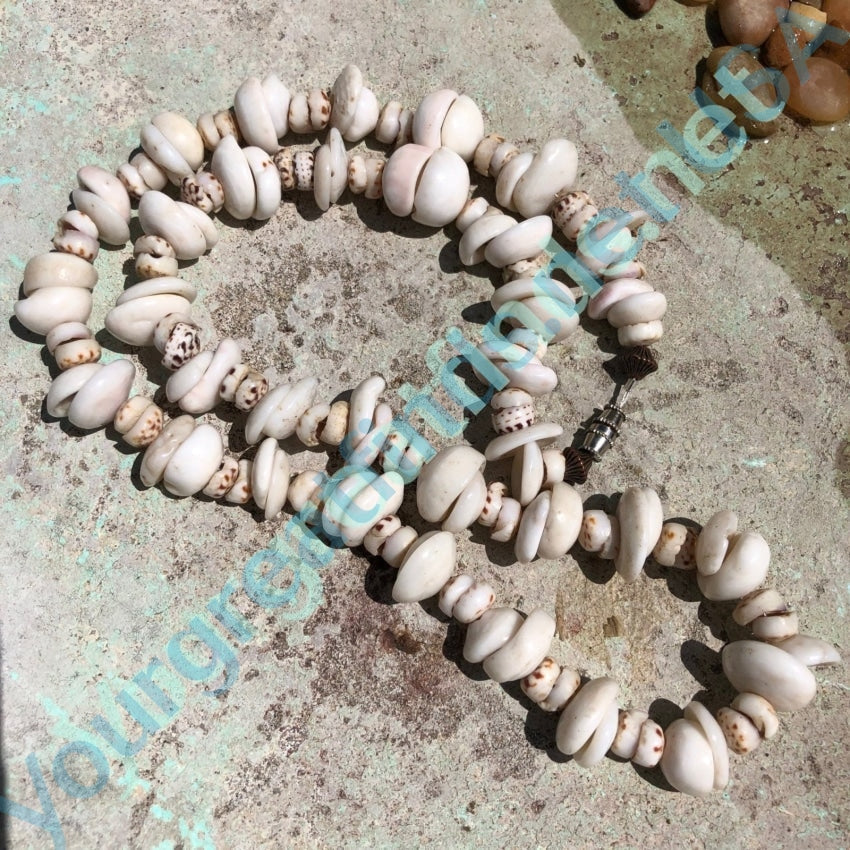 Natural Hawaiian Puka Shell Necklace High Grade 28 Inches Long Yourgreatfinds