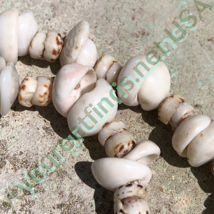 Natural Hawaiian Puka Shell Necklace High Grade 28 Inches Long Yourgreatfinds