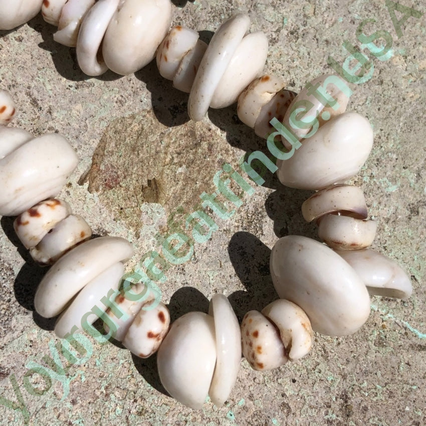 Natural Hawaiian Puka Shell Necklace High Grade 28 Inches Long Yourgreatfinds