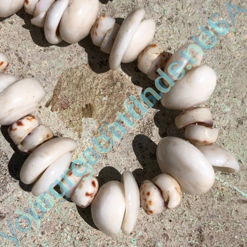 Natural Hawaiian Puka Shell Necklace High Grade 28 Inches Long Yourgreatfinds