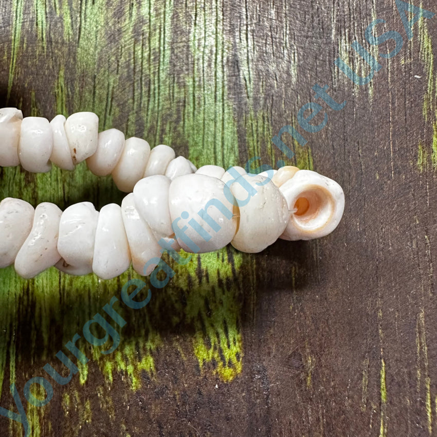 Natural High Grade Hawaiian Puka Shell Necklace 15” Necklace