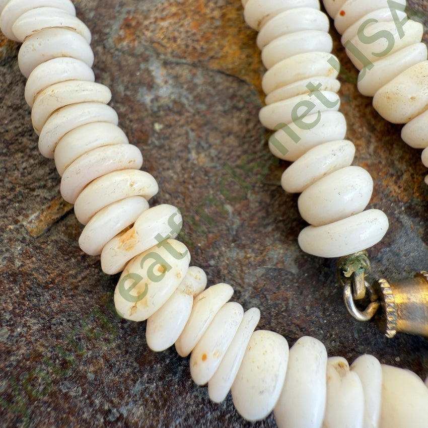 Natural High Grade Hawaiian Puka Shell Necklace 16.5” L necklace