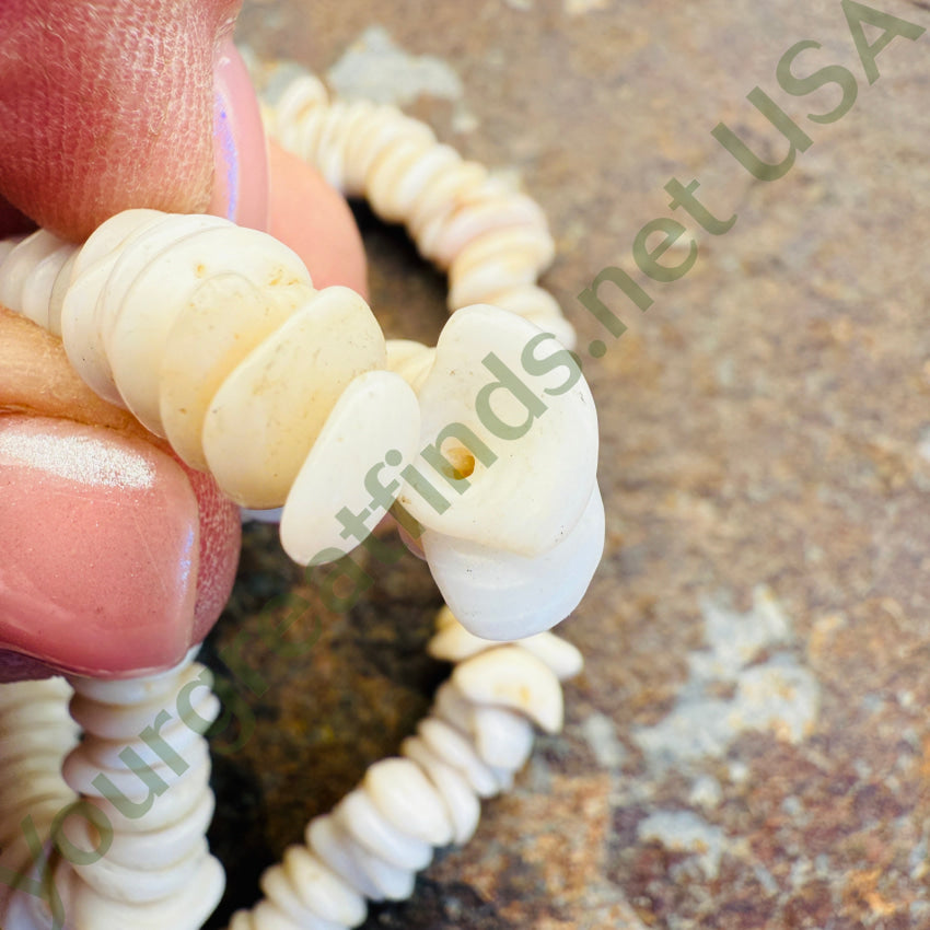 Natural High Grade Hawaiian Puka Shell Necklace 16.5” L Surfer necklace