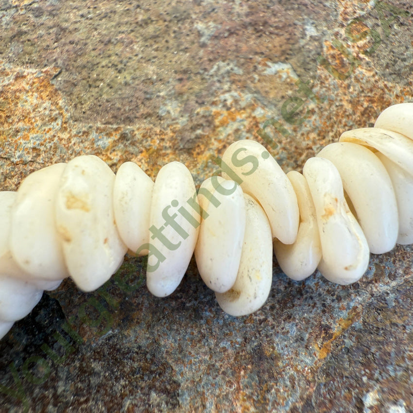 Natural High Grade Hawaiian Puka Shell Necklace 16.5” L Surfer necklace