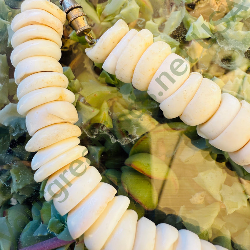 Natural High Grade Hawaiian Puka Shell Necklace 17.75” L necklace