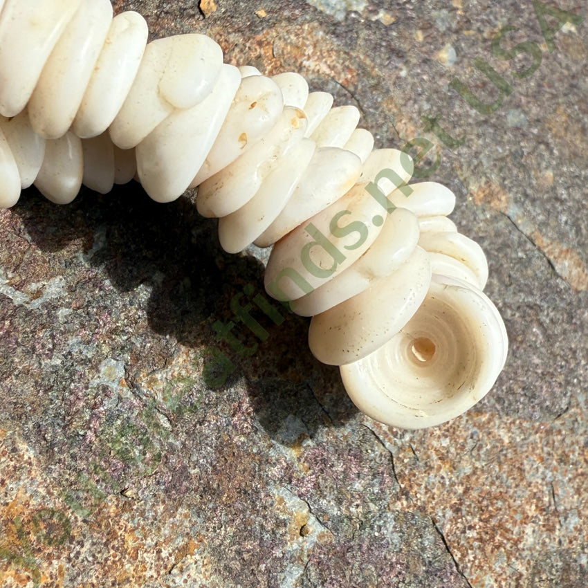 Natural High Grade Hawaiian Puka Shell Necklace 17.75” L necklace