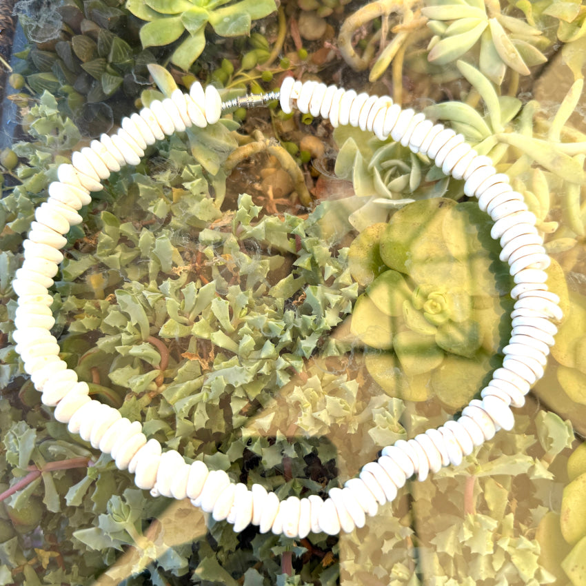 Natural High Grade Hawaiian Puka Shell Necklace 19.75” L necklace