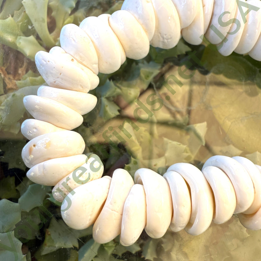 Natural High Grade Hawaiian Puka Shell Necklace 19.75” L necklace