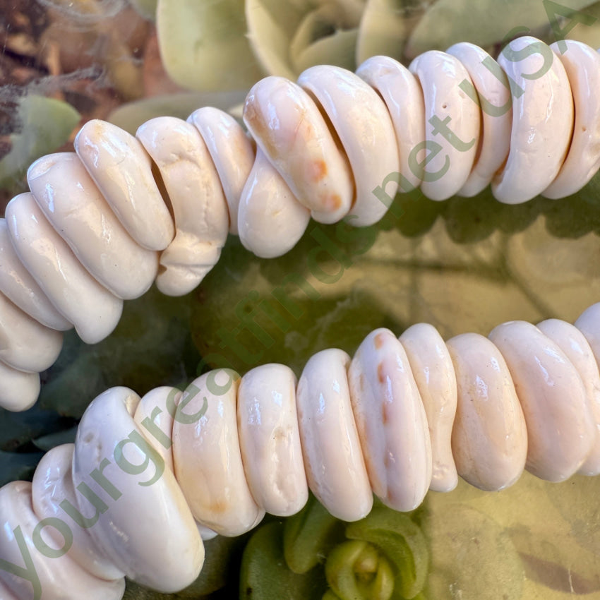 Natural High Grade Hawaiian Puka Shell Necklace 19.75” L necklace