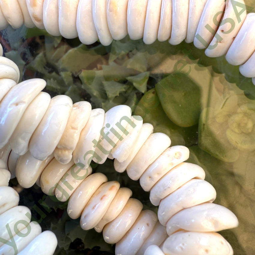 Natural High Grade Hawaiian Puka Shell Necklace 19.75” L necklace