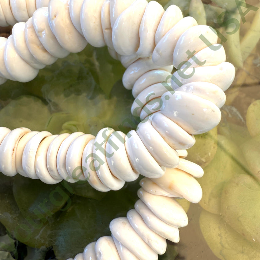 Natural High Grade Hawaiian Puka Shell Necklace 19.75” L necklace