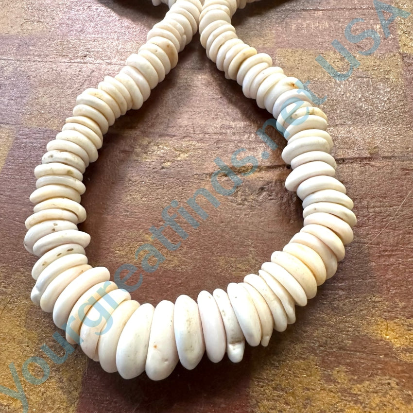 Natural High Grade Hawaiian Puka Shell Necklace 21 1/2 L Necklace