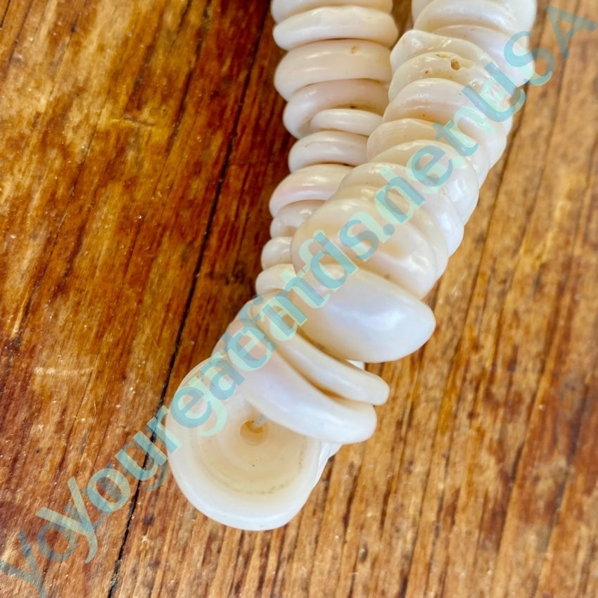 Natural High Grade Hawaiian Puka Shell Necklace Yourgreatfinds