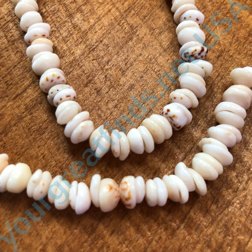 Natural High Grade Hawaiian Puka Shell Necklace & Bracelet Set Necklace