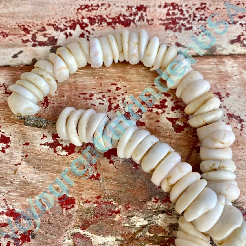 Natural  Large Hawaiian Puka Shell Choker Necklace Yourgreatfinds