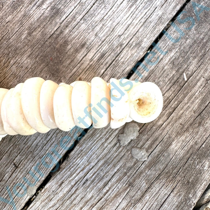 Natural Large Hawaiian Puka Shell Choker Necklace Necklace