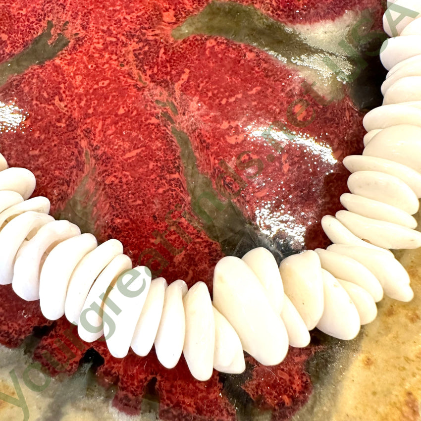 Natural Large Hawaiian Puka Shell Choker Necklace Necklace