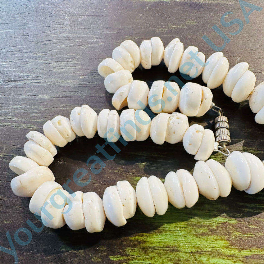 Natural Large Hawaiian Puka Shell Choker Necklace Necklace