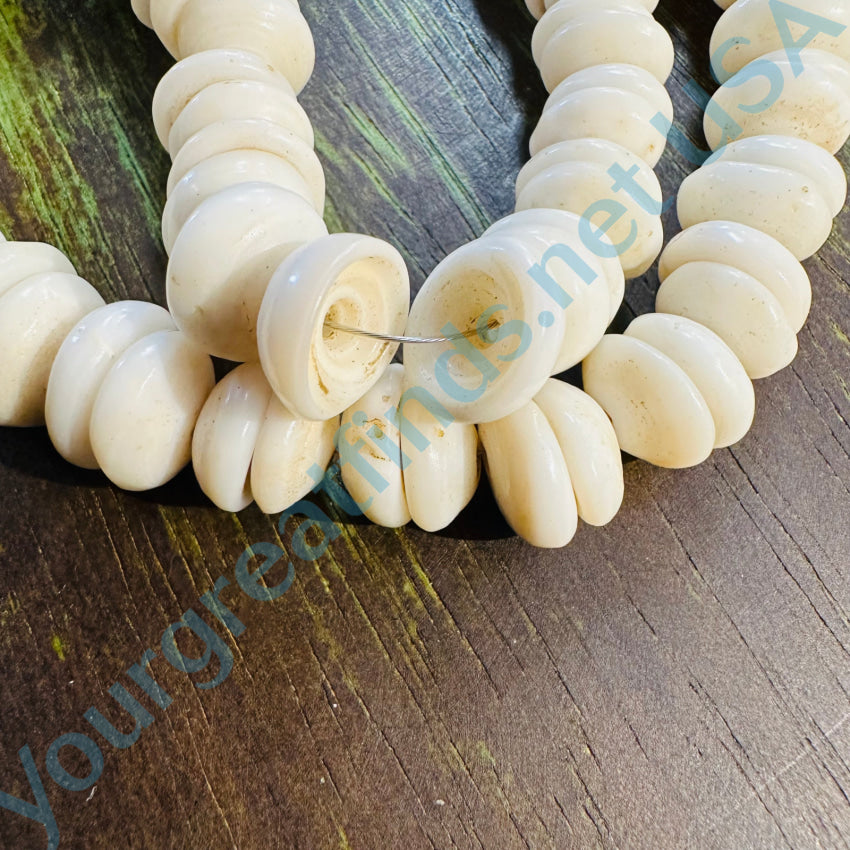 Natural Large Hawaiian Puka Shell Choker Necklace Necklace