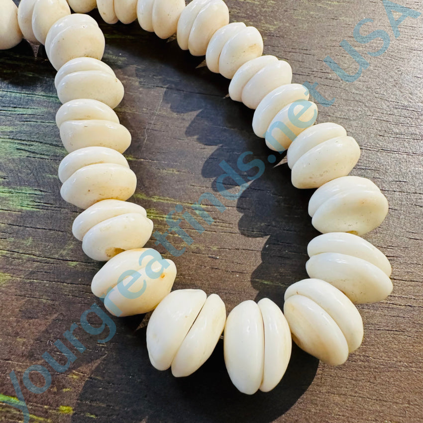 Natural Large Hawaiian Puka Shell Choker Necklace Necklace