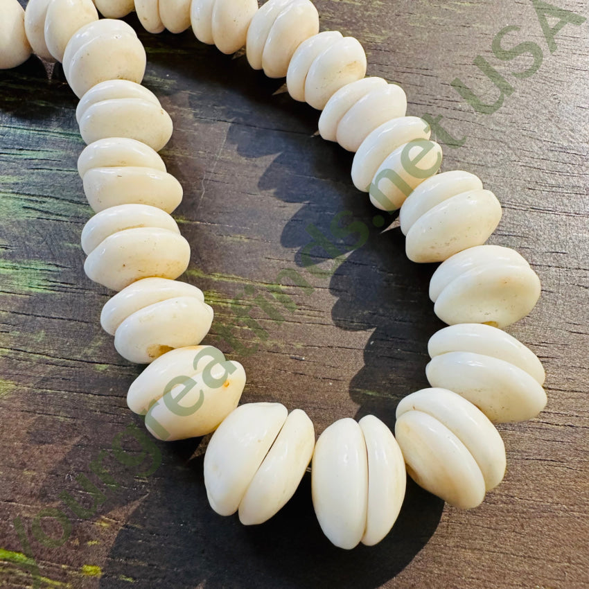 Natural Large Hawaiian Puka Shell Choker Necklace Necklace