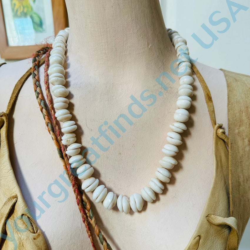 Natural Large Hawaiian Puka Shell Choker Necklace Necklace