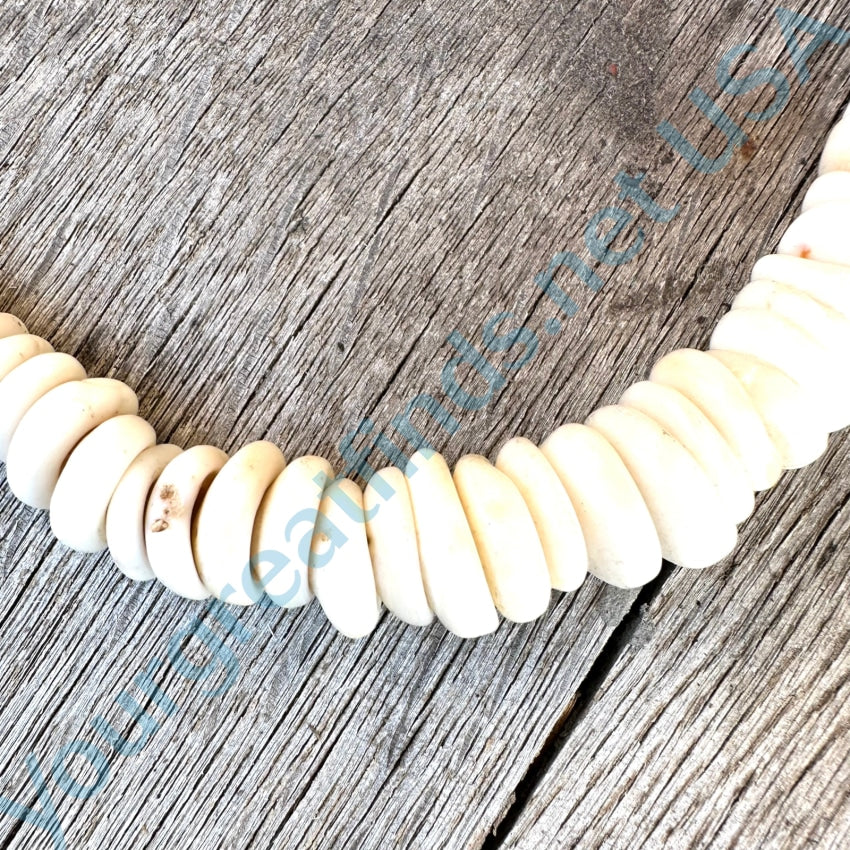 Natural Large Hawaiian Puka Shell Choker Necklace Necklace