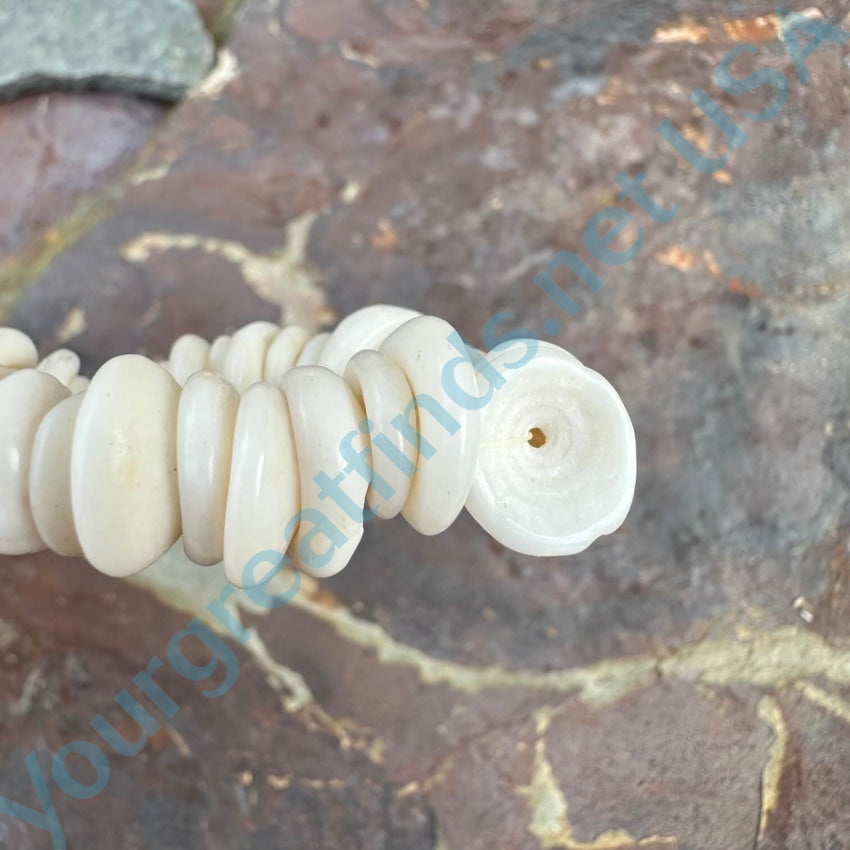 Natural Large Hawaiian Puka Shell Choker Necklace Necklace