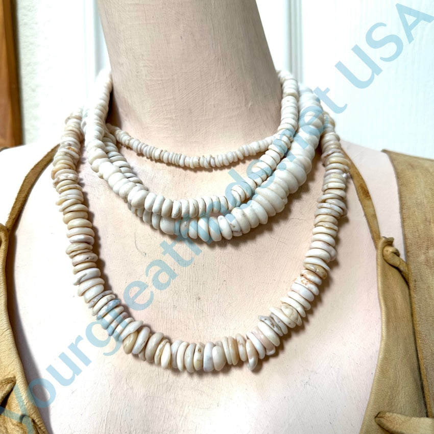 Natural Large Hawaiian Puka Shell Choker Necklace Necklace