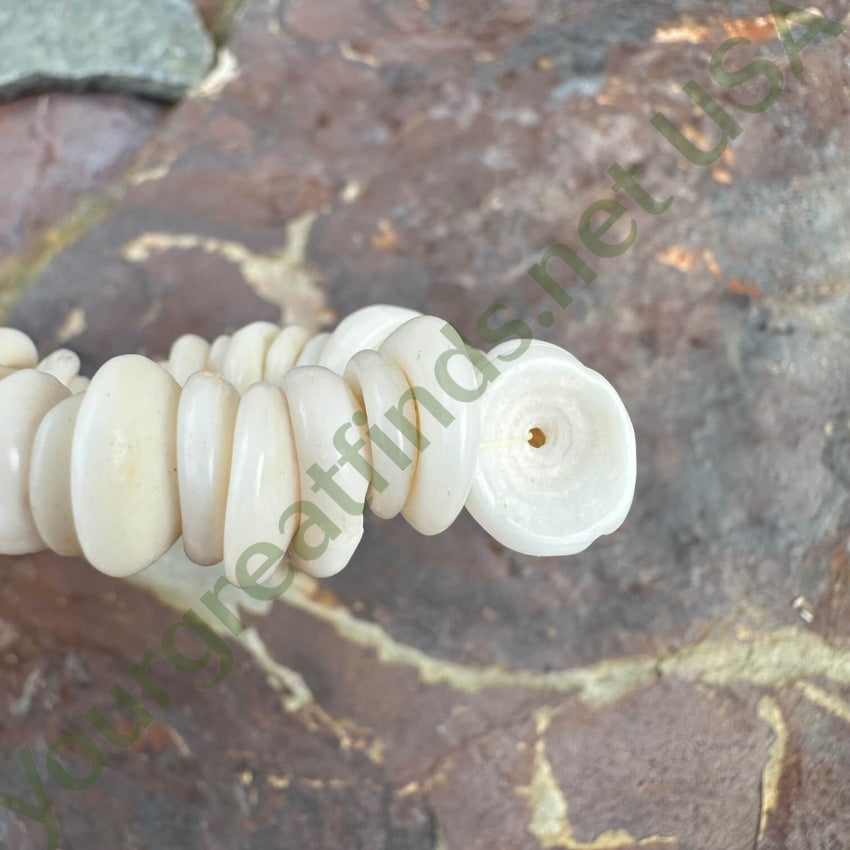 Natural Large Hawaiian Puka Shell Choker Necklace Necklace