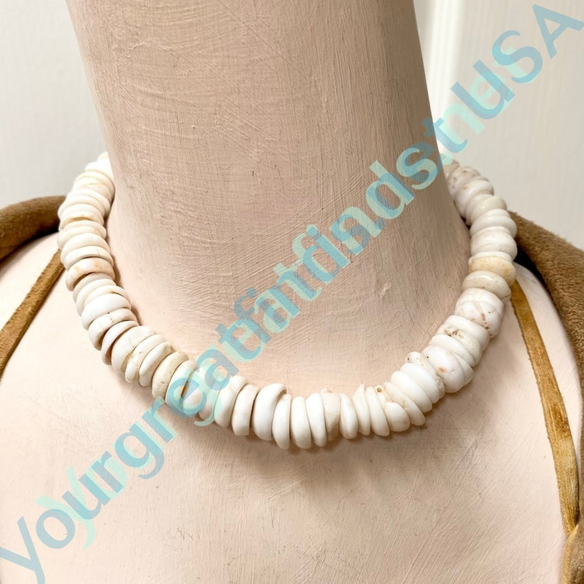 Natural  Large Hawaiian Puka Shell Choker Necklace Yourgreatfinds