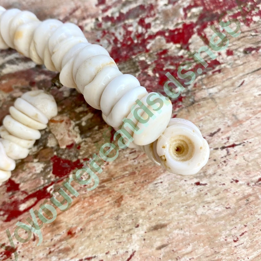 Natural  Large Hawaiian Puka Shell Choker Necklace Yourgreatfinds